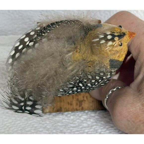 Antique German Made Paper Mache Bird Possibly Sandgrouse Real Feathers Wood Base - Picture 13 of 14